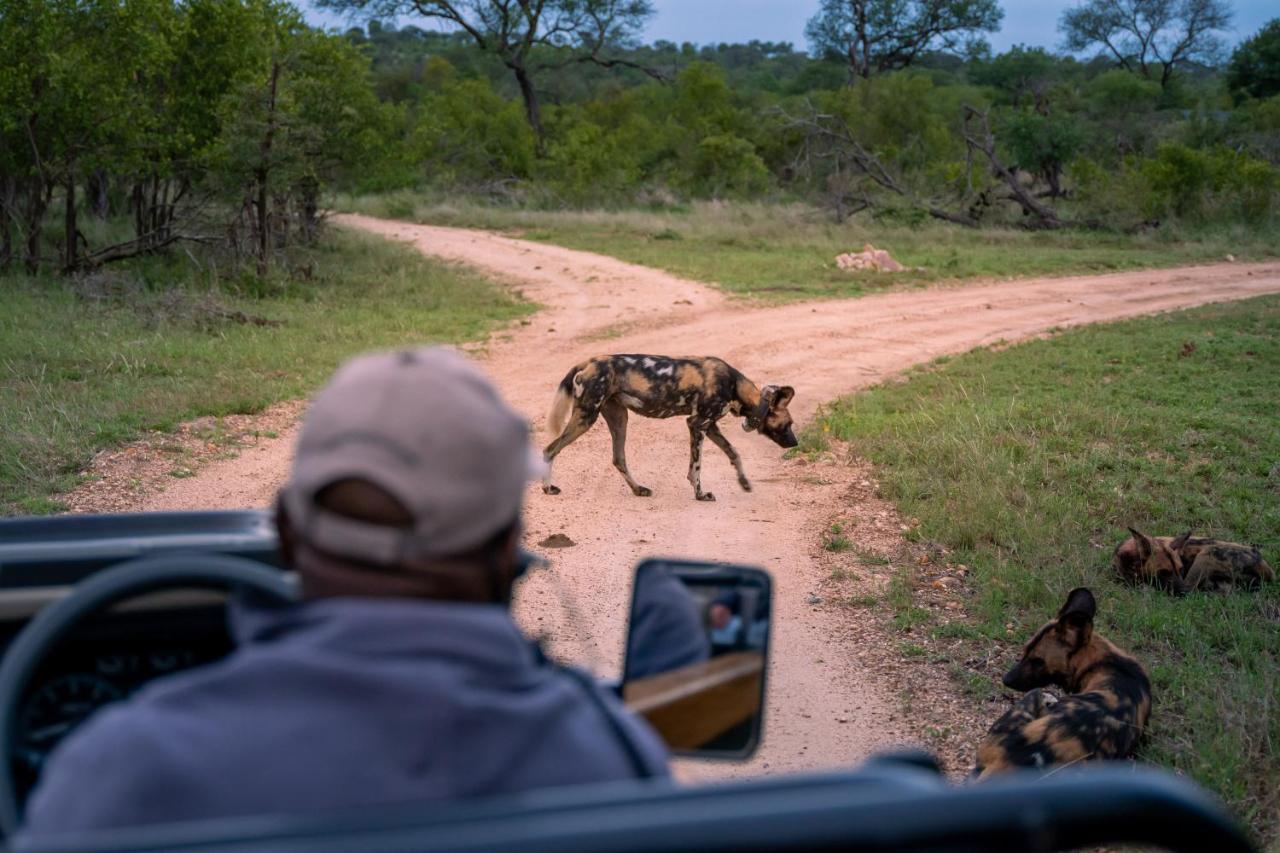 Thornybush Game Lodge заповідник Торнібуш Екстер'єр фото